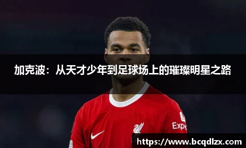 加克波：从天才少年到足球场上的璀璨明星之路